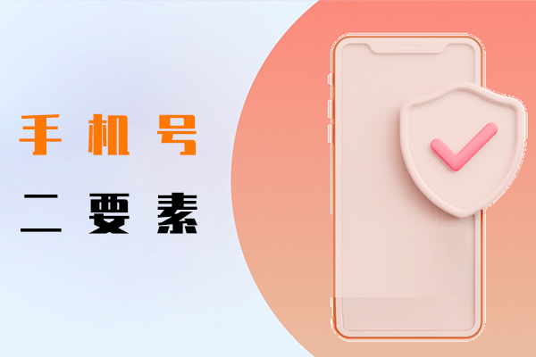 手機號二要素