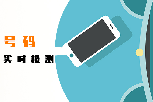 號碼實時檢測