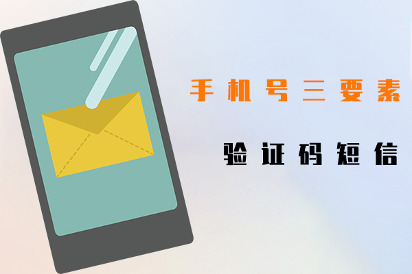手機號三要素,驗證碼短信