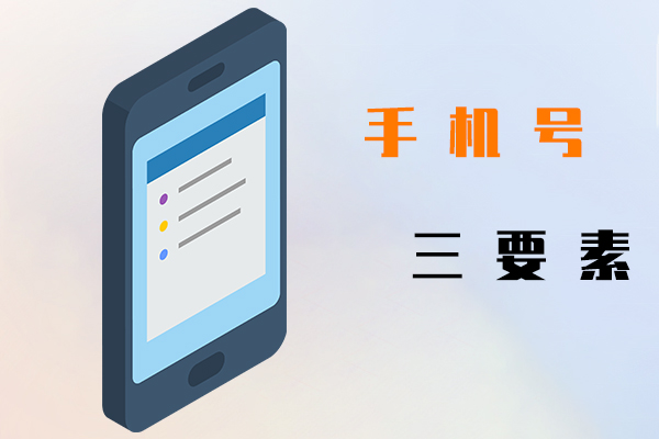 手機號三要素