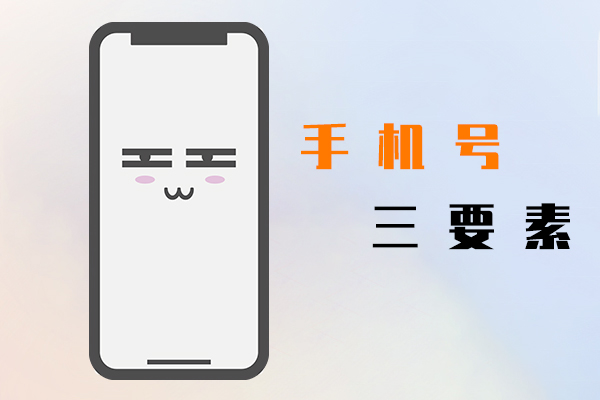 手機號三要素