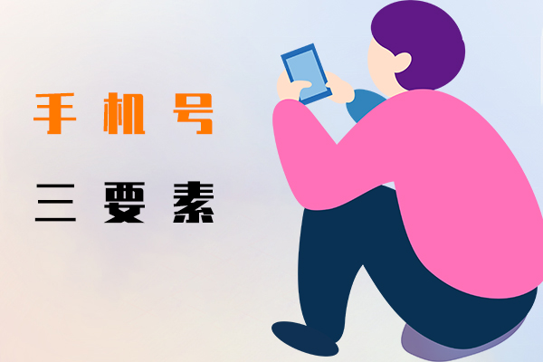 手機號三要素