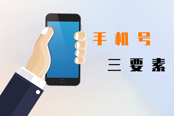 手機號三要素