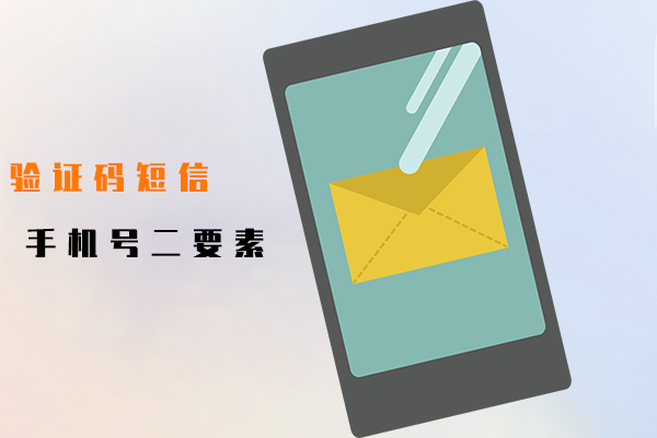 手機號二要素,驗證碼短信