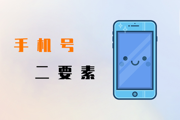 手機(jī)號(hào)二要素