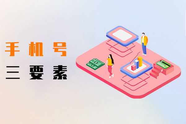 手機(jī)號(hào)三要素