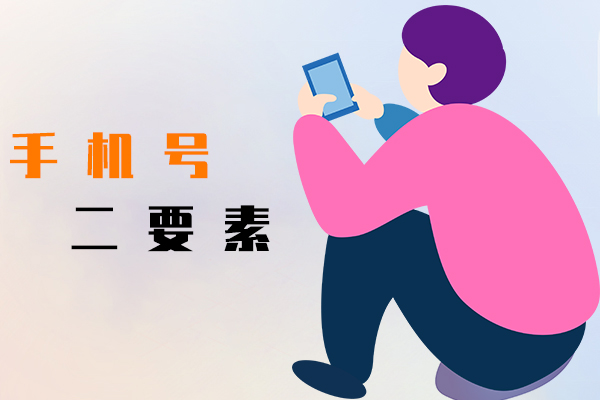手機號二要素