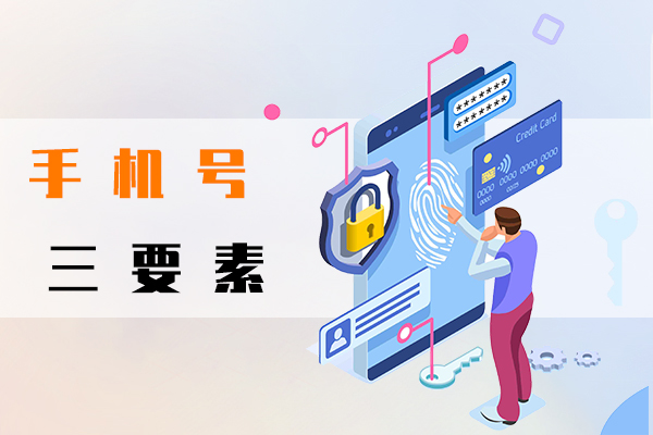 手機號三要素