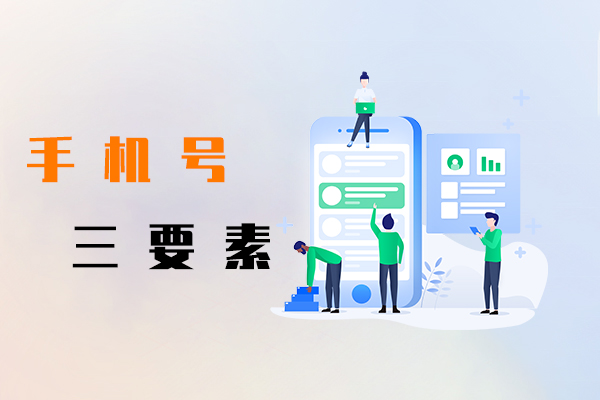 手機號三要素