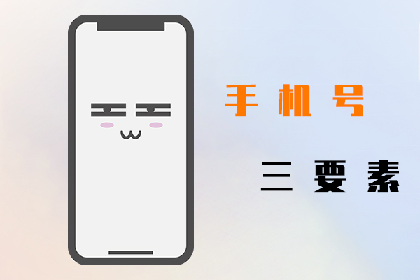 手機號三要素