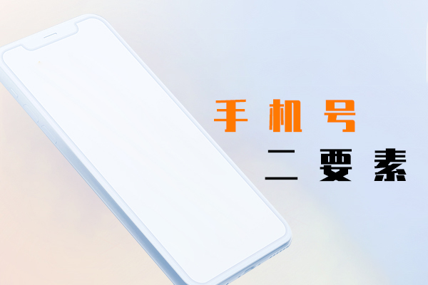 手機號二要素