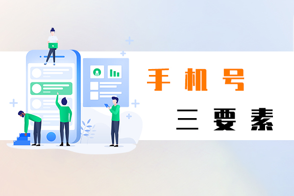 手機號三要素