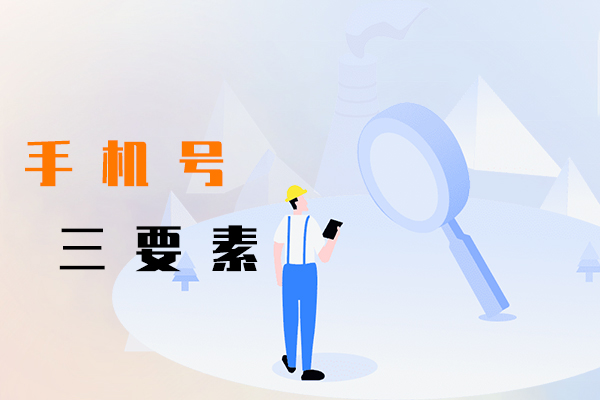 手機號三要素
