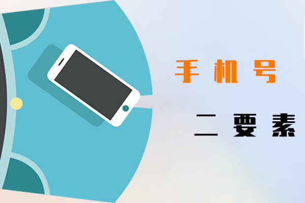 手機號二要素